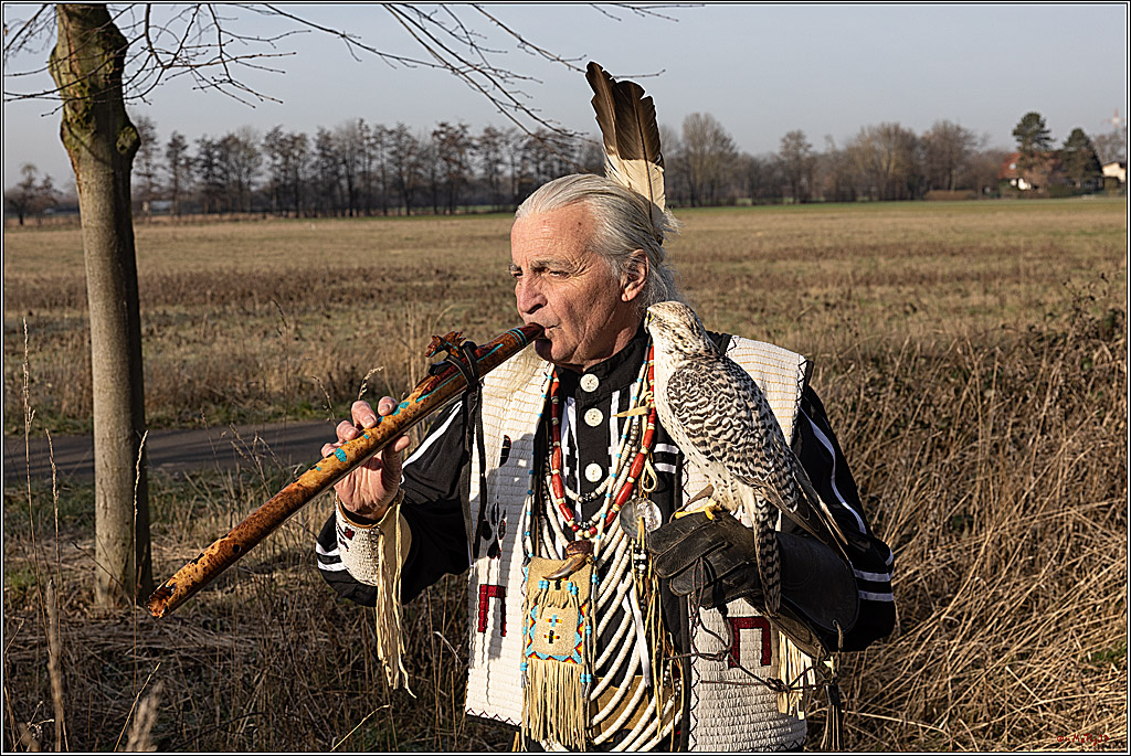 Cheyenne-Halbblut Hunting Wolf in der Falknerei Pierre Schmidt; Gymnich, 09.02.2023
